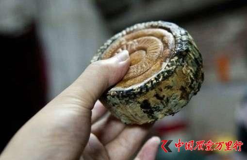 ʳˎO(jin)ع⣡@Щطa(chn)ù(bio)eԣ