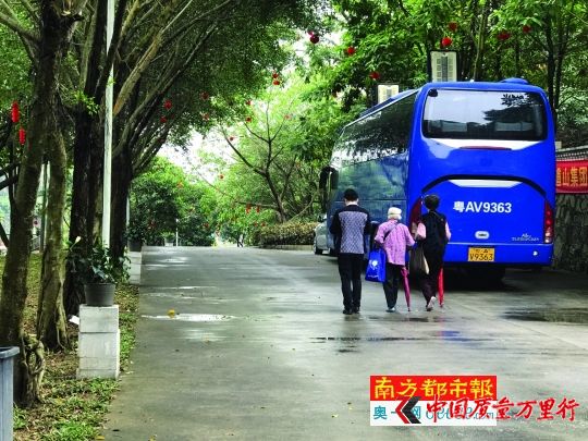 幾乎每天都有老人被組織到九龍道山莊園游玩。