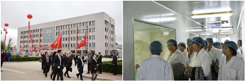 海之圣攜手龍騰國(guó)際  譜寫全新華章