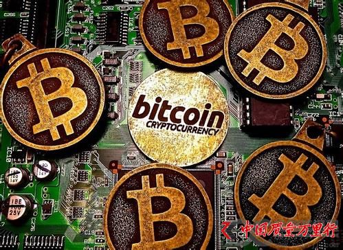Upbit{鄡ҪD؎_