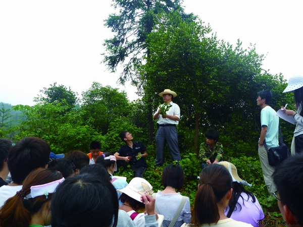 呂芳德教授在油茶林現(xiàn)場為學(xué)生們講解油茶載培知識
