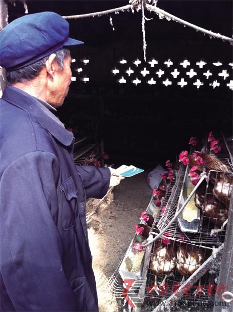 亂收電費坑農(nóng)“雞窩里掏出個供電大廈”