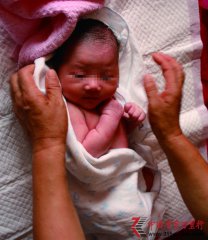 “龍年生子熱”推升月嫂供求緊張