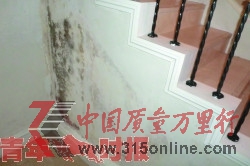 徐先生新買的別墅還沒入住，墻體多處出現霉變。