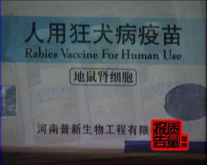 ÿ|(zh)(bo)桷֮