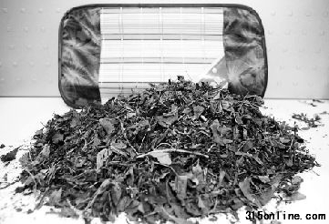 這是記者從超市買來的茶葉枕內芯。 李翔 攝 這是記者從超市買來的茶葉枕內芯。 李翔 攝