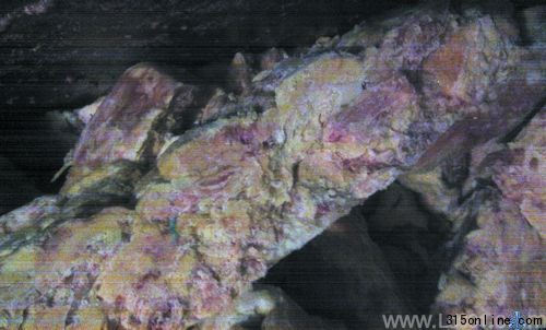 招工不要健康證,生產(chǎn)使用過(guò)期腸、槽頭肉碎肉掉地上撿起來(lái)直接用