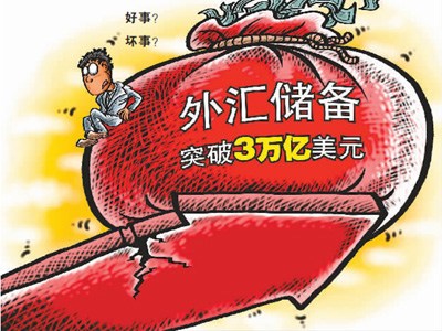媒體稱外匯儲(chǔ)備應(yīng)境外使用不適合無償分給民眾