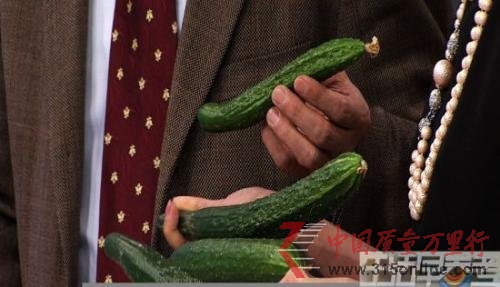 央視調查有機食品亂象：部分有機菜田緊鄰化工廠