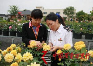 杭州檢驗檢疫局兩手抓 積極傳播國外優(yōu)秀園藝