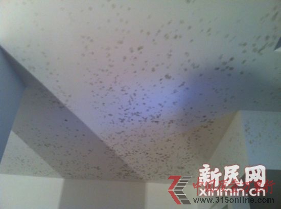 綠地薔薇四季的多套別墅出現(xiàn)滲水,天花板發(fā)霉。新民網(wǎng)記者胡彥珣 現(xiàn)場回傳