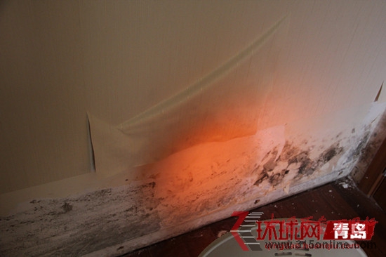 青島萬科城墻壁發(fā)霉 青島萬科城墻壁發(fā)霉