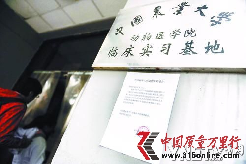 動(dòng)物醫(yī)院門口貼出停業(yè)通告 ■攝影/本報(bào)記者 袁藝