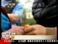 海南導(dǎo)游成導(dǎo)購