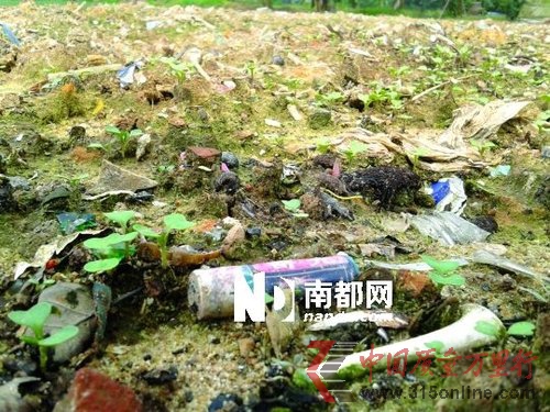 （被曝光半年后，番禺金山村菜地里，仍然隨處可見廢電池。圖片來源：南都記者 楊希越 攝）